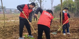 兰溪平安产险：植绿九畹兰花基地，共绘乡村振兴蓝图