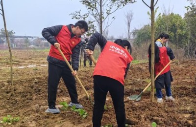 兰溪平安产险：植绿九畹兰花基地，共绘乡村振兴蓝图